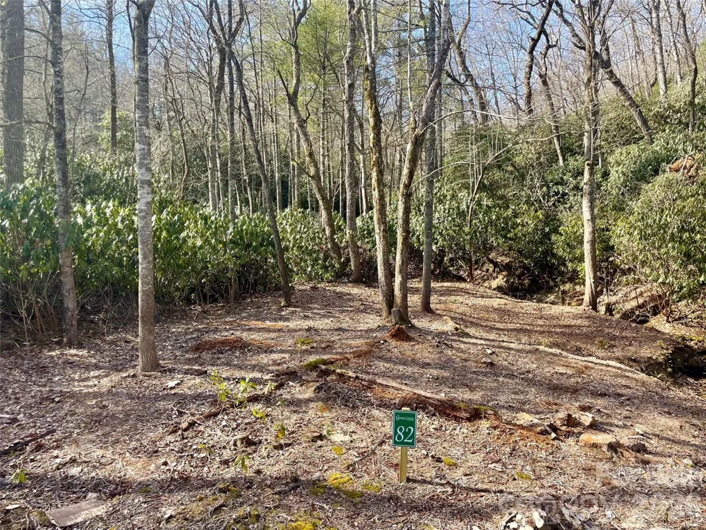 TBD Dogwood Trail Spruce Pine, NC 28777