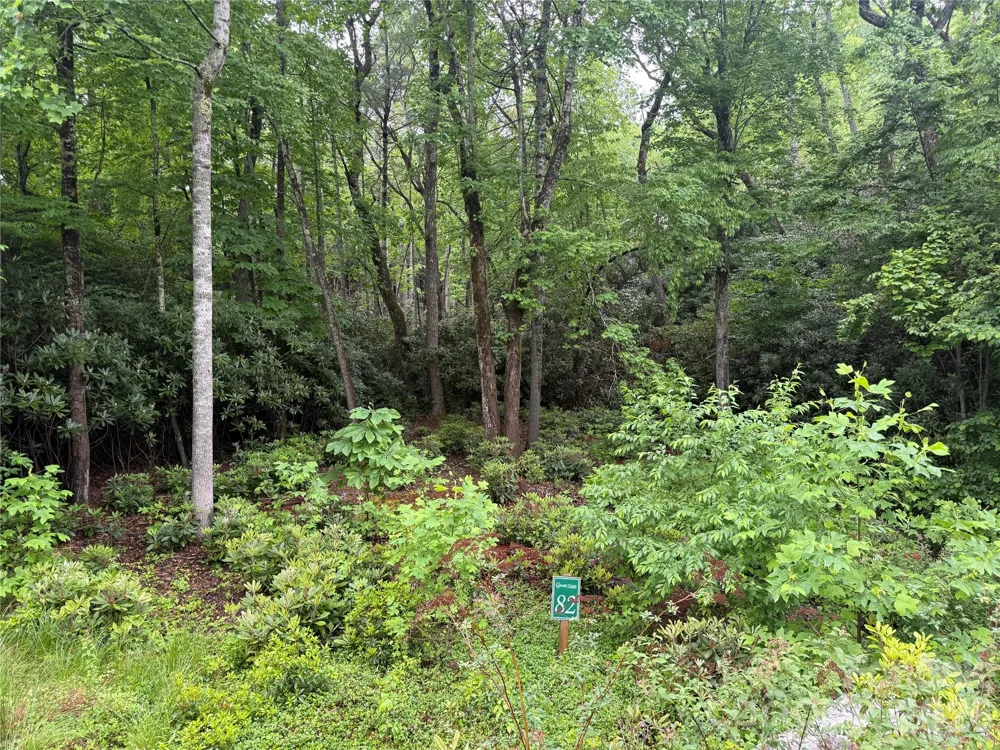 TBD Dogwood Trail Spruce Pine, NC 28777