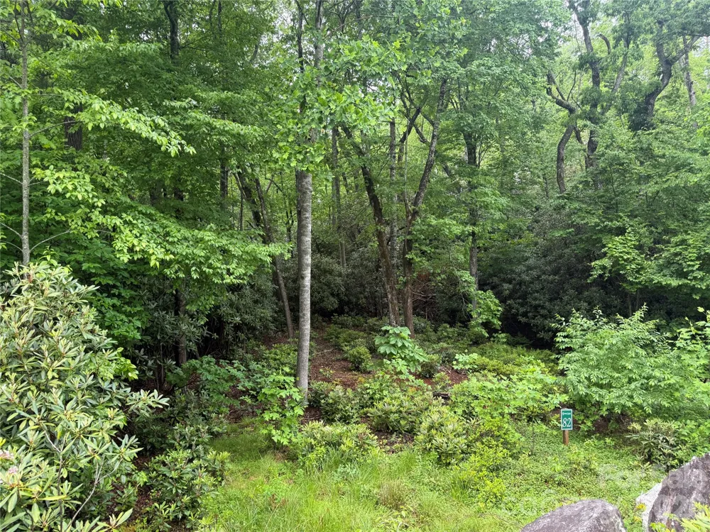 TBD Dogwood Trail Spruce Pine, NC 28777