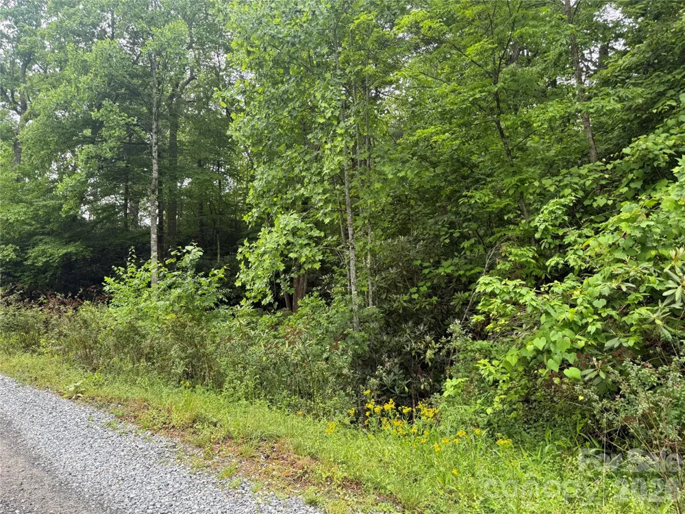 TBD Dogwood Trail Spruce Pine, NC 28777