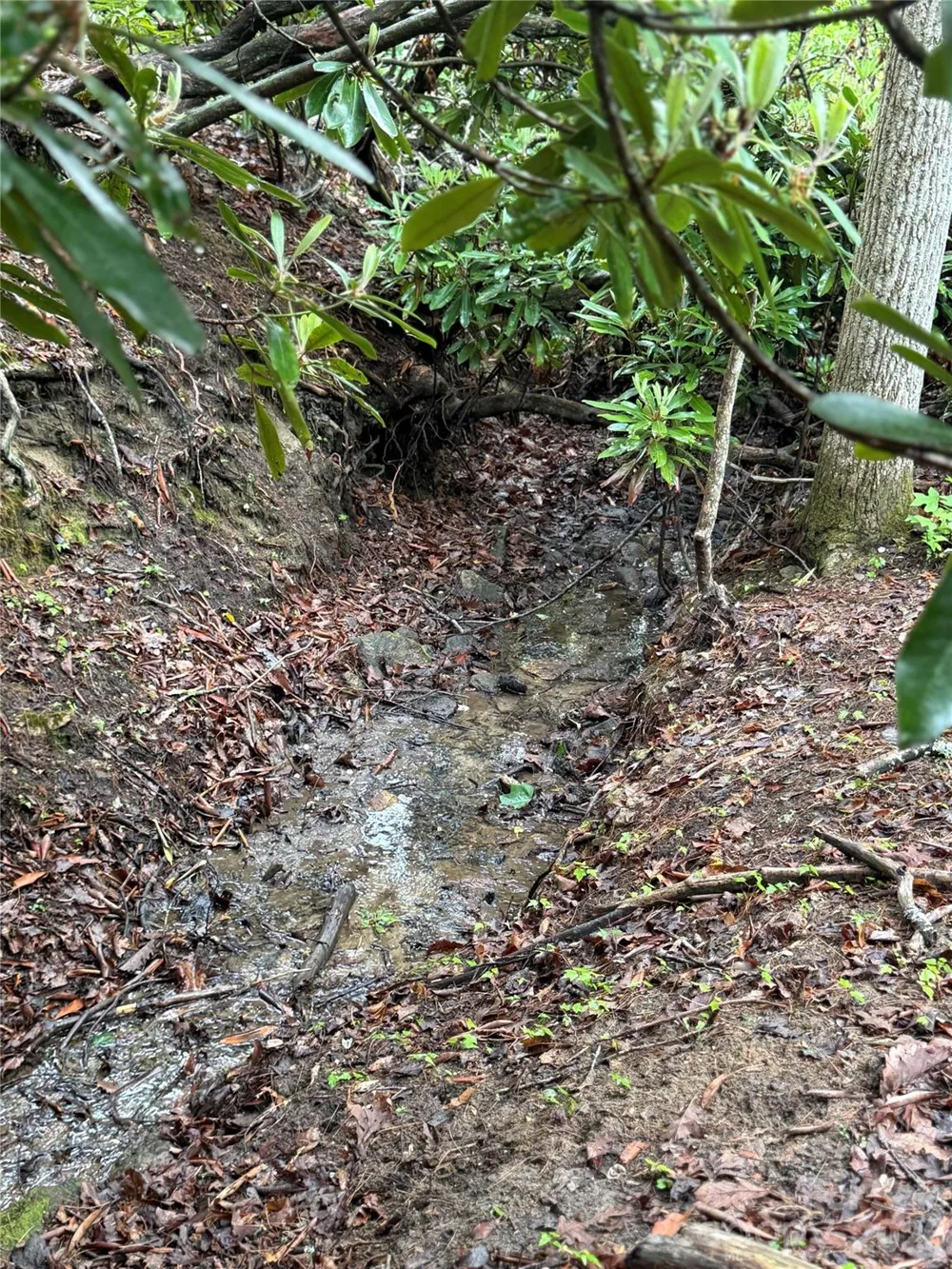 TBD Dogwood Trail Spruce Pine, NC 28777