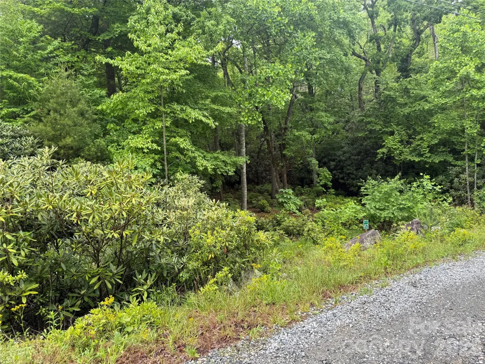 TBD Dogwood Trail Spruce Pine, NC 28777