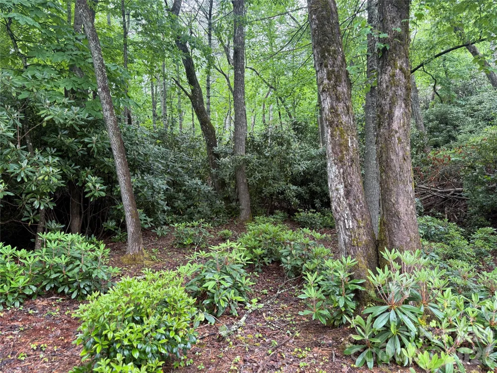 TBD Dogwood Trail Spruce Pine, NC 28777