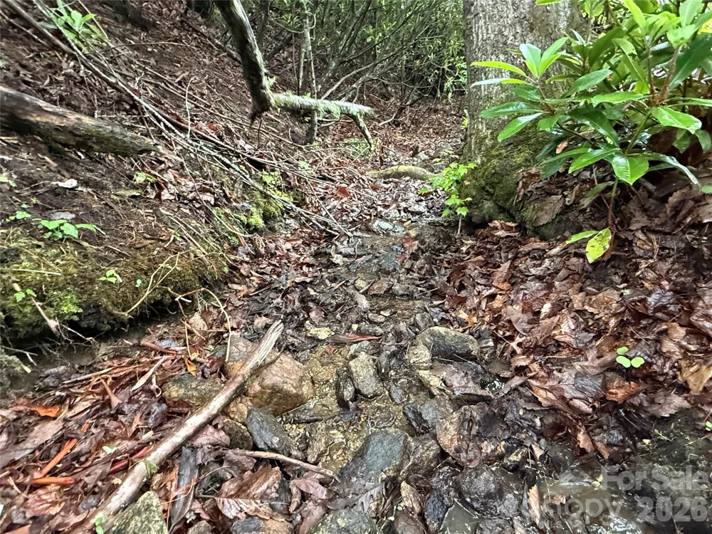 TBD Dogwood Trail Spruce Pine, NC 28777