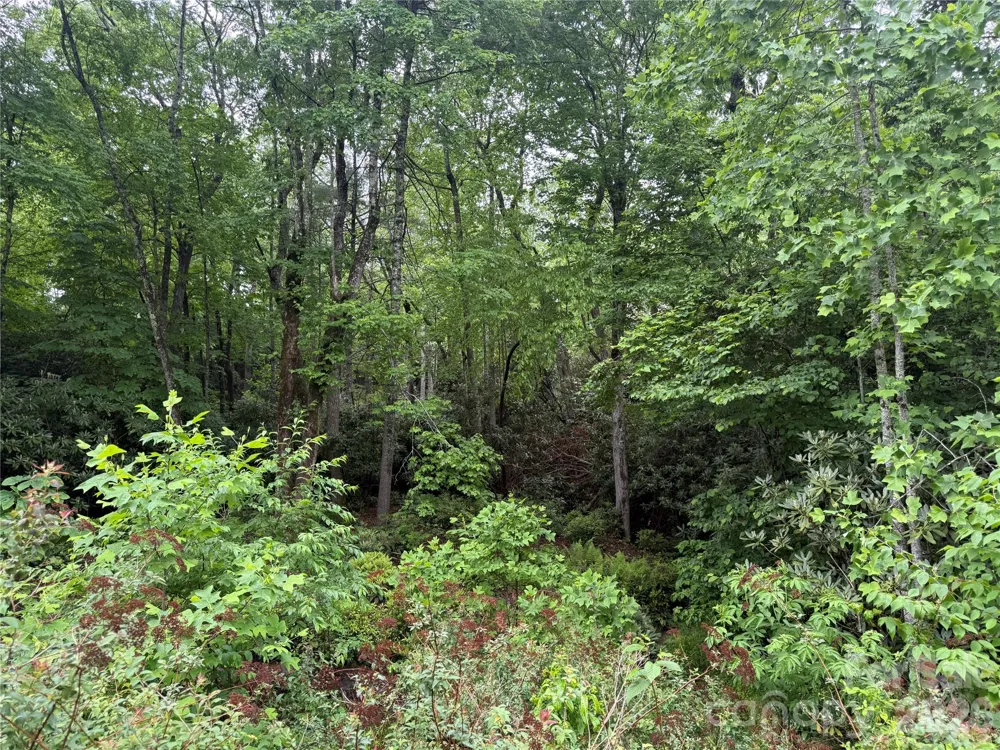 TBD Dogwood Trail Spruce Pine, NC 28777