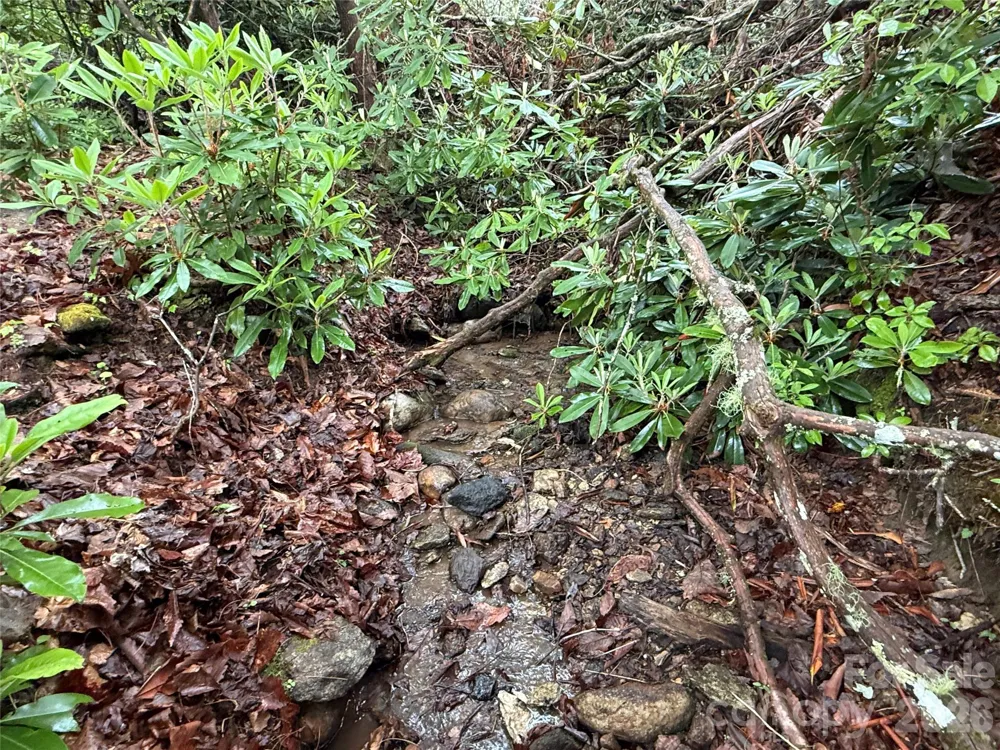 TBD Dogwood Trail Spruce Pine, NC 28777