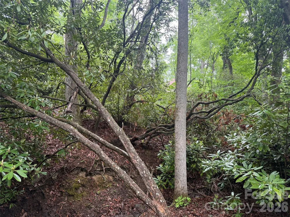 TBD Dogwood Trail Spruce Pine, NC 28777