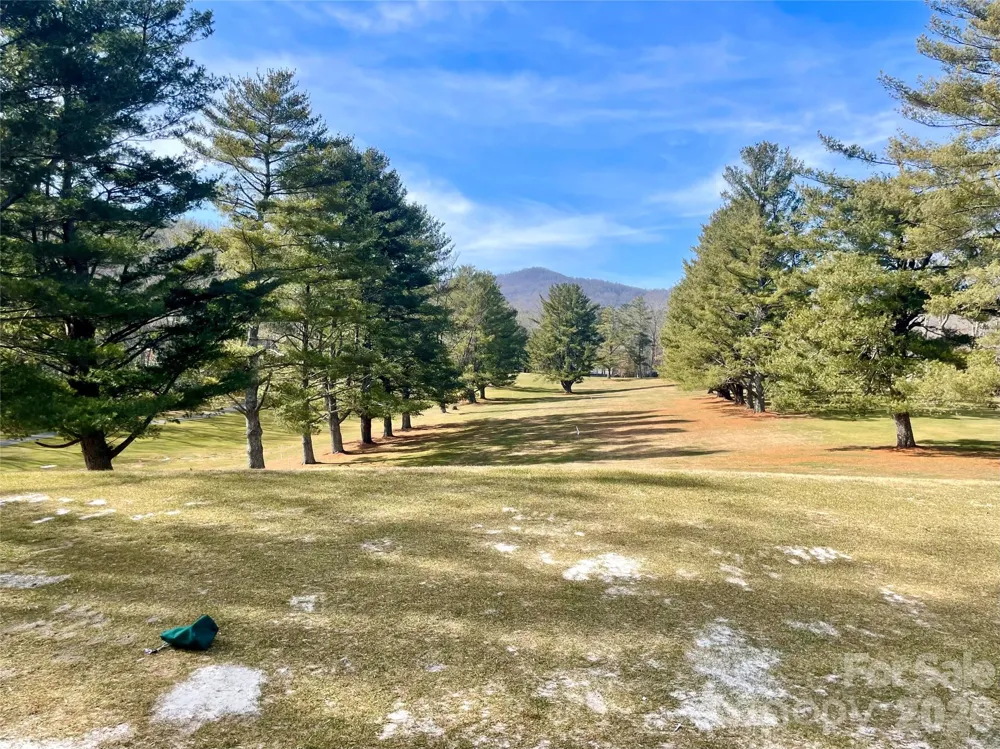 TBD Dogwood Trail Spruce Pine, NC 28777
