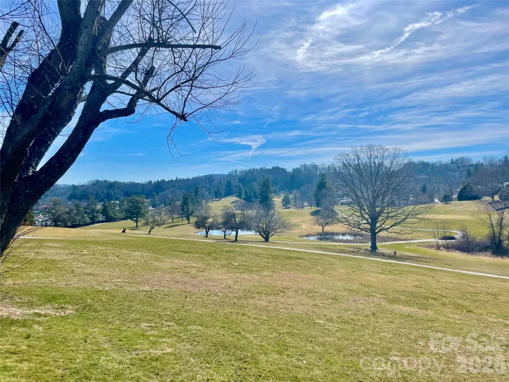 TBD Dogwood Trail Spruce Pine, NC 28777