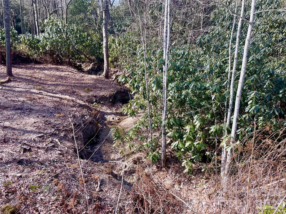 TBD Dogwood Trail Spruce Pine, NC 28777