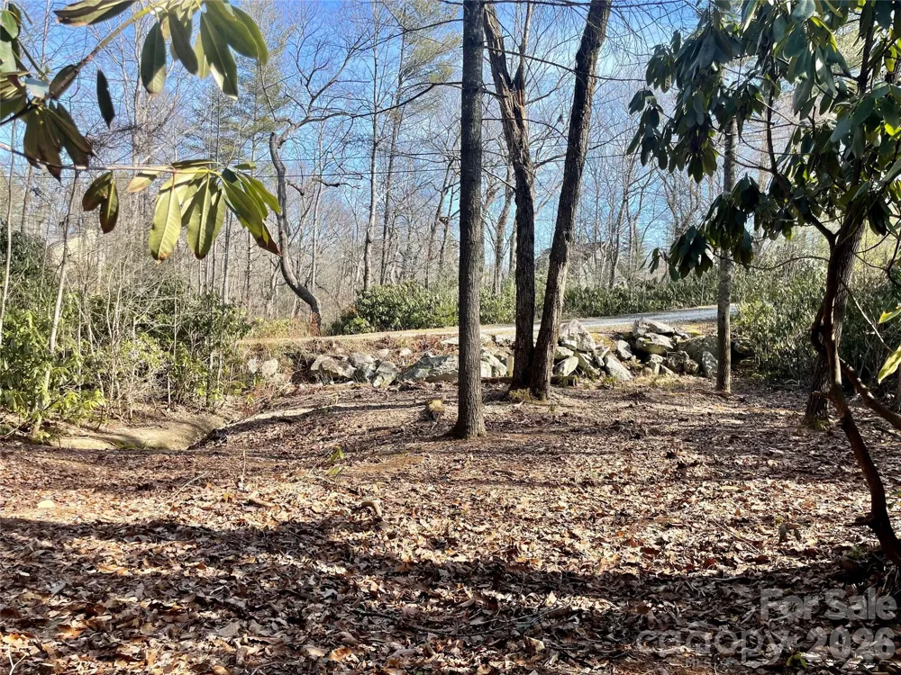 TBD Dogwood Trail Spruce Pine, NC 28777