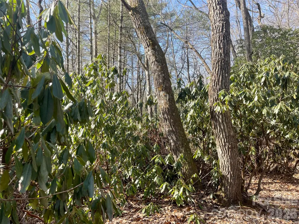 TBD Dogwood Trail Spruce Pine, NC 28777