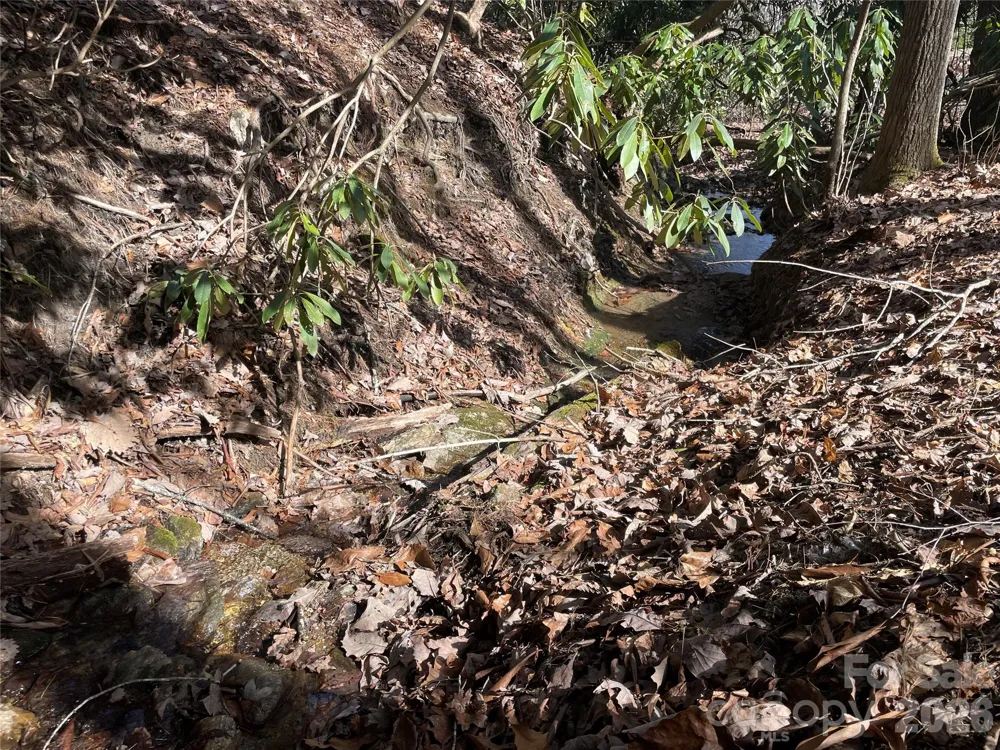 TBD Dogwood Trail Spruce Pine, NC 28777