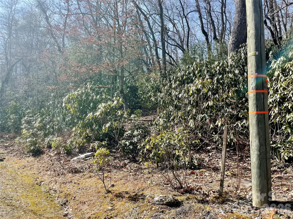 TBD Dogwood Trail Spruce Pine, NC 28777