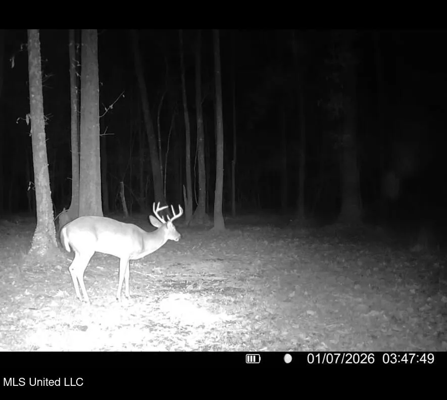 6642 Grange Hall Road Osyka, MS 39657