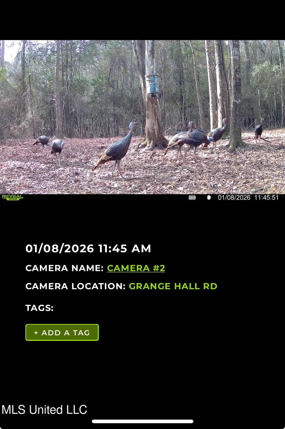 6642 Grange Hall Road Osyka, MS 39657