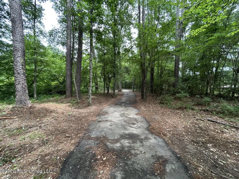 6642 Grange Hall Road Osyka, MS 39657