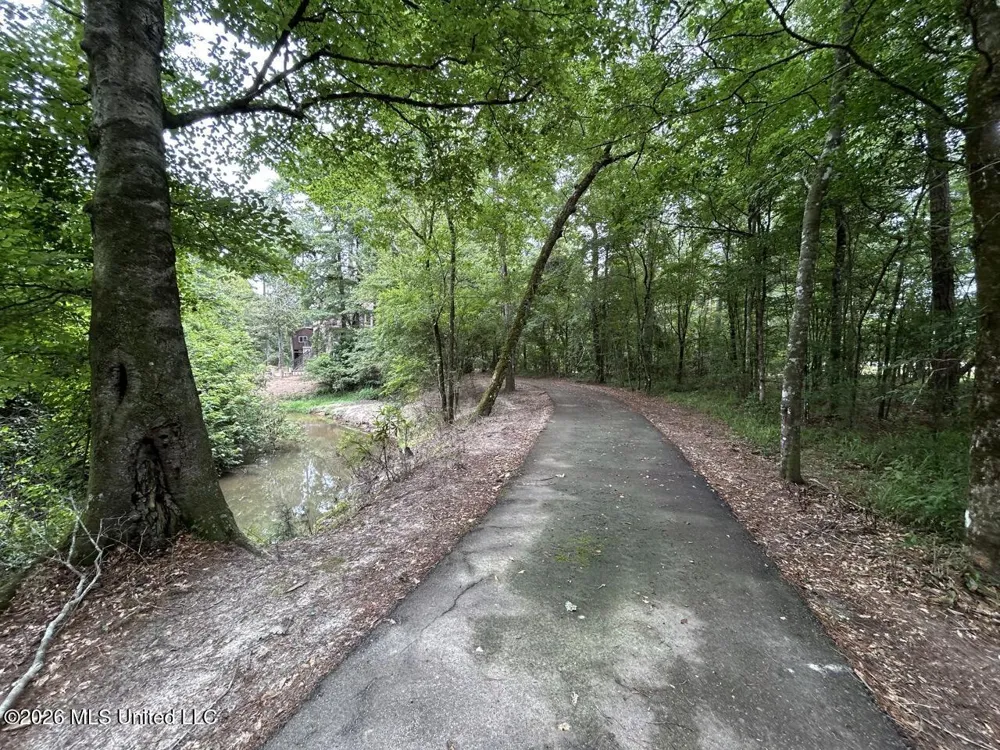 6642 Grange Hall Road Osyka, MS 39657