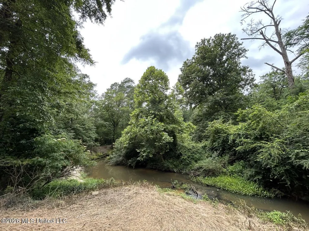 6642 Grange Hall Road Osyka, MS 39657