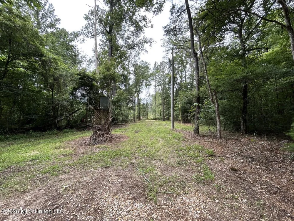 6642 Grange Hall Road Osyka, MS 39657