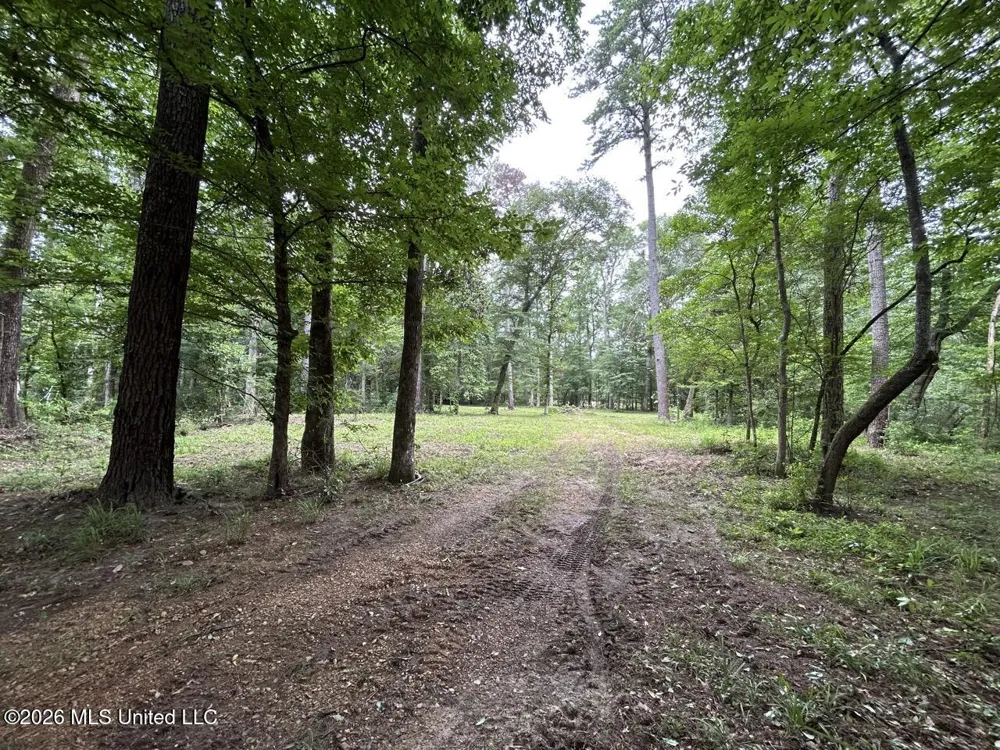 6642 Grange Hall Road Osyka, MS 39657