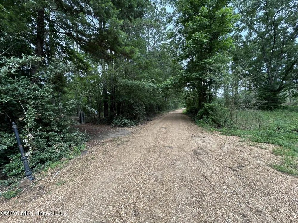 6642 Grange Hall Road Osyka, MS 39657