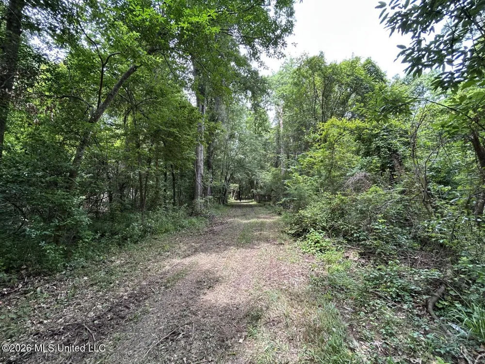 6642 Grange Hall Road Osyka, MS 39657