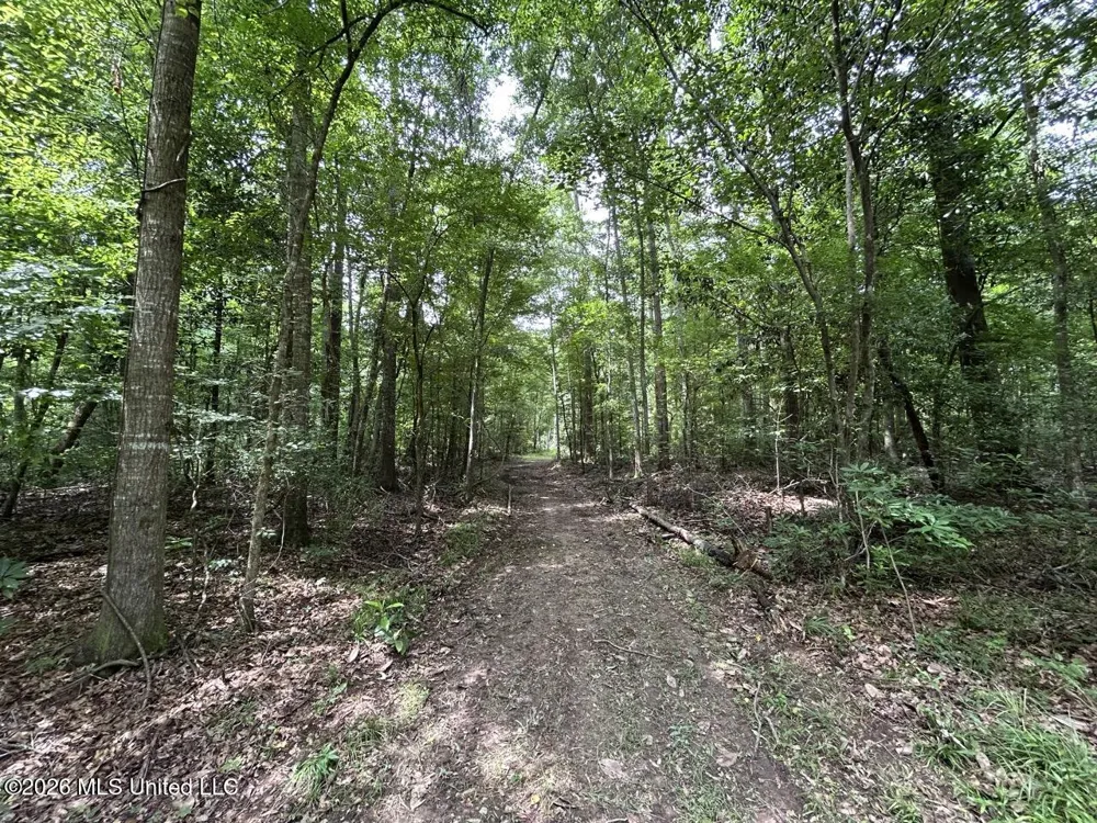 6642 Grange Hall Road Osyka, MS 39657