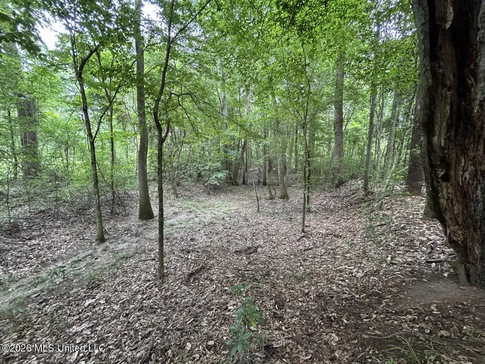 6642 Grange Hall Road Osyka, MS 39657