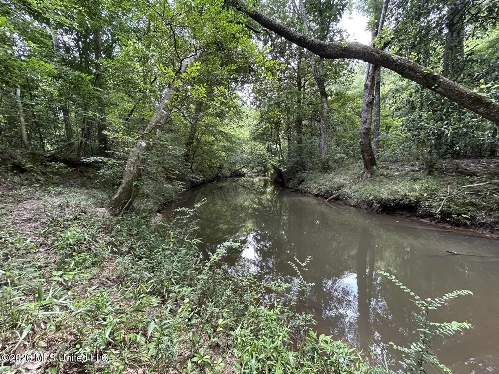 6642 Grange Hall Road Osyka, MS 39657
