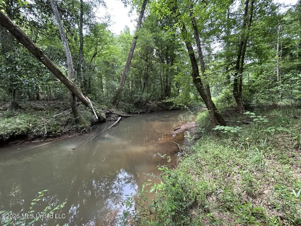 6642 Grange Hall Road Osyka, MS 39657