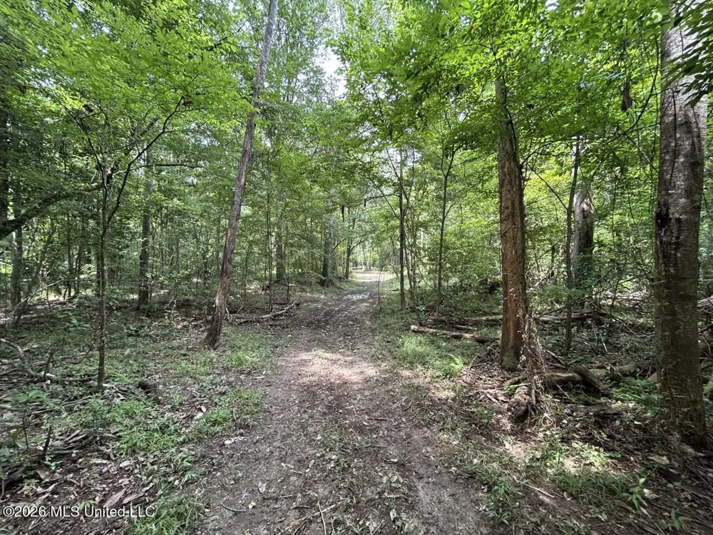 6642 Grange Hall Road Osyka, MS 39657