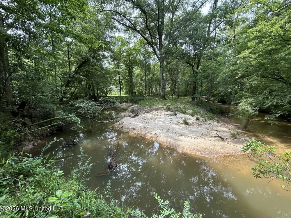 6642 Grange Hall Road Osyka, MS 39657