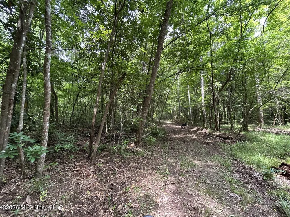 6642 Grange Hall Road Osyka, MS 39657