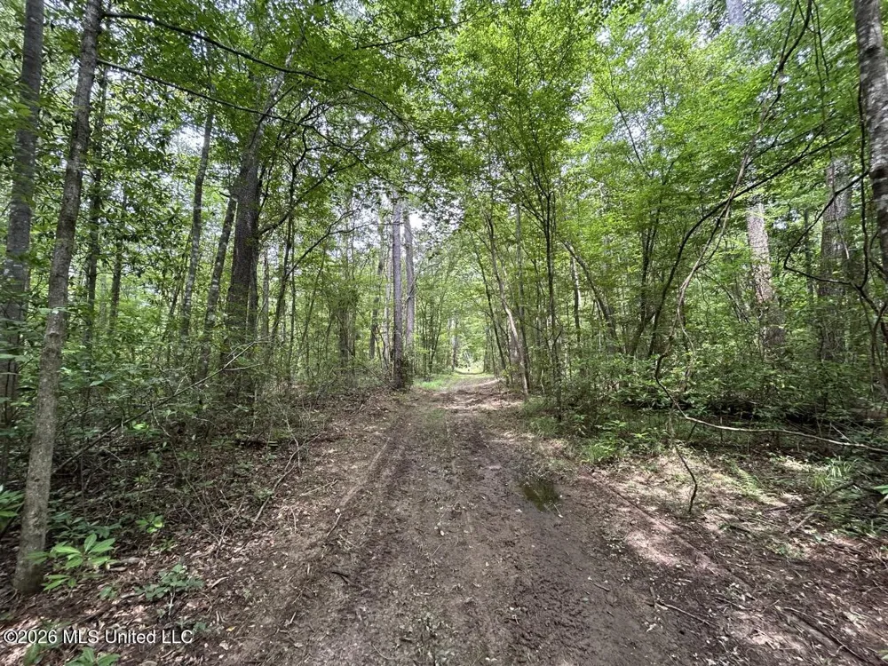 6642 Grange Hall Road Osyka, MS 39657