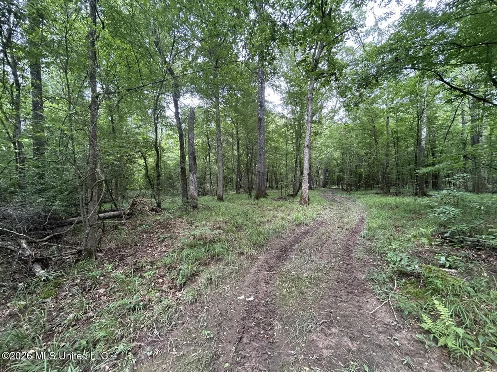 6642 Grange Hall Road Osyka, MS 39657