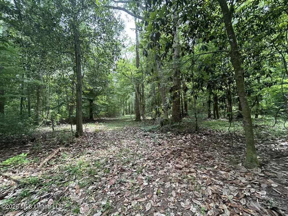 6642 Grange Hall Road Osyka, MS 39657