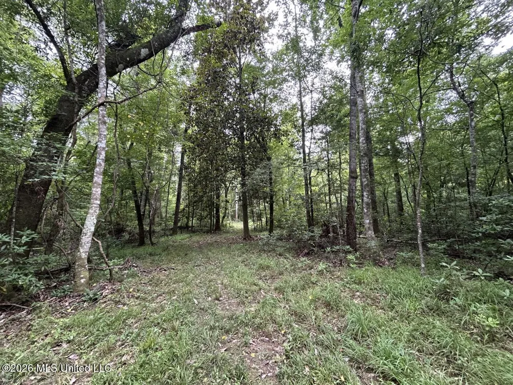 6642 Grange Hall Road Osyka, MS 39657
