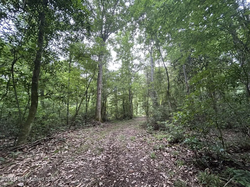 6642 Grange Hall Road Osyka, MS 39657