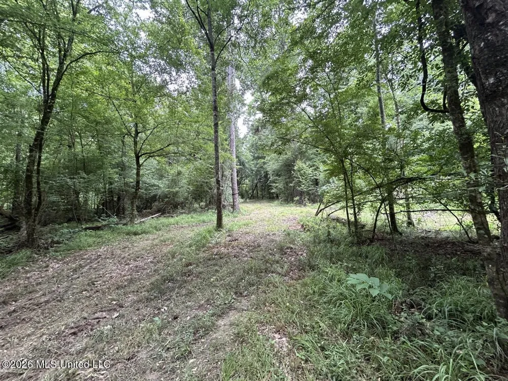 6642 Grange Hall Road Osyka, MS 39657