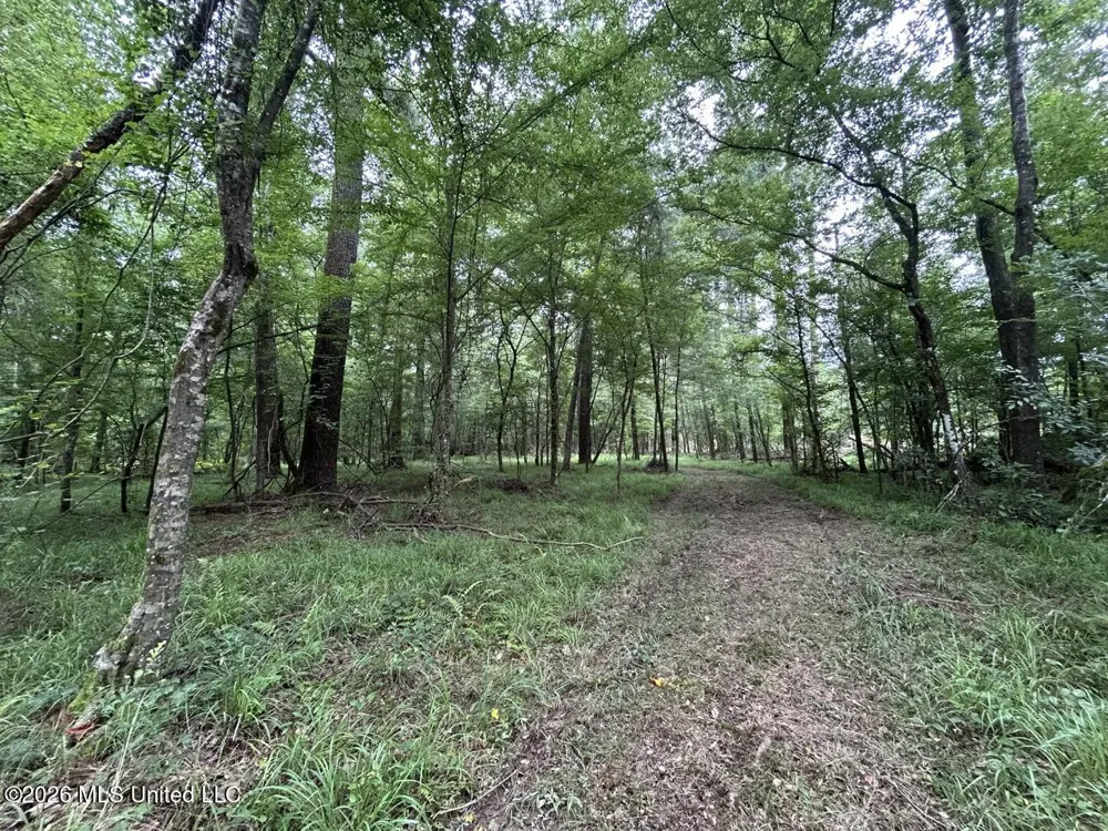 6642 Grange Hall Road Osyka, MS 39657
