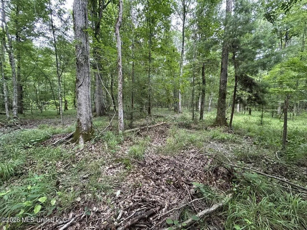 6642 Grange Hall Road Osyka, MS 39657