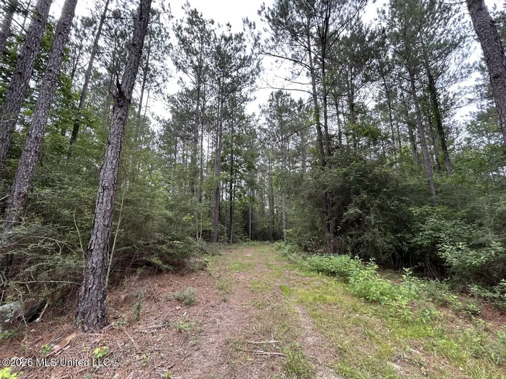 6642 Grange Hall Road Osyka, MS 39657