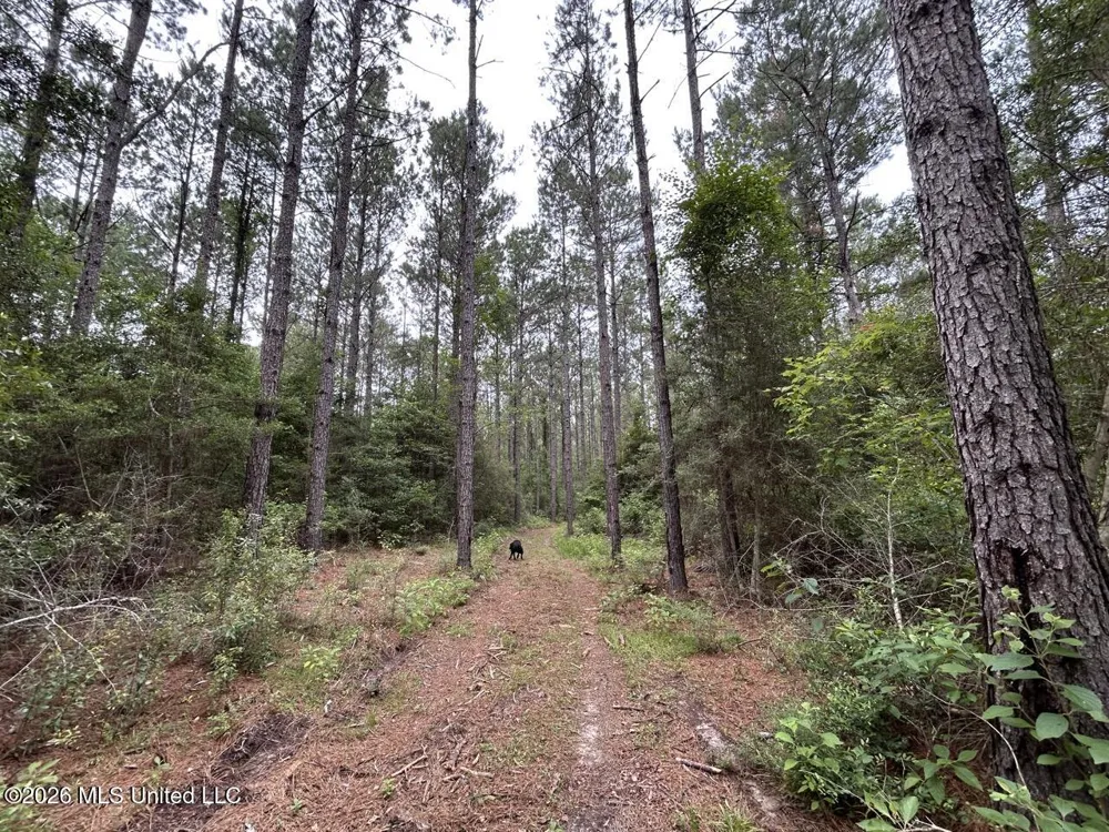 6642 Grange Hall Road Osyka, MS 39657