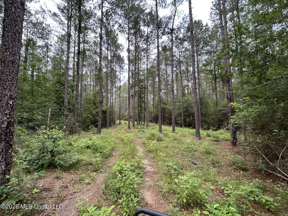 6642 Grange Hall Road Osyka, MS 39657