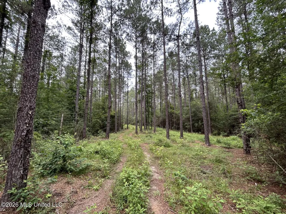 6642 Grange Hall Road Osyka, MS 39657