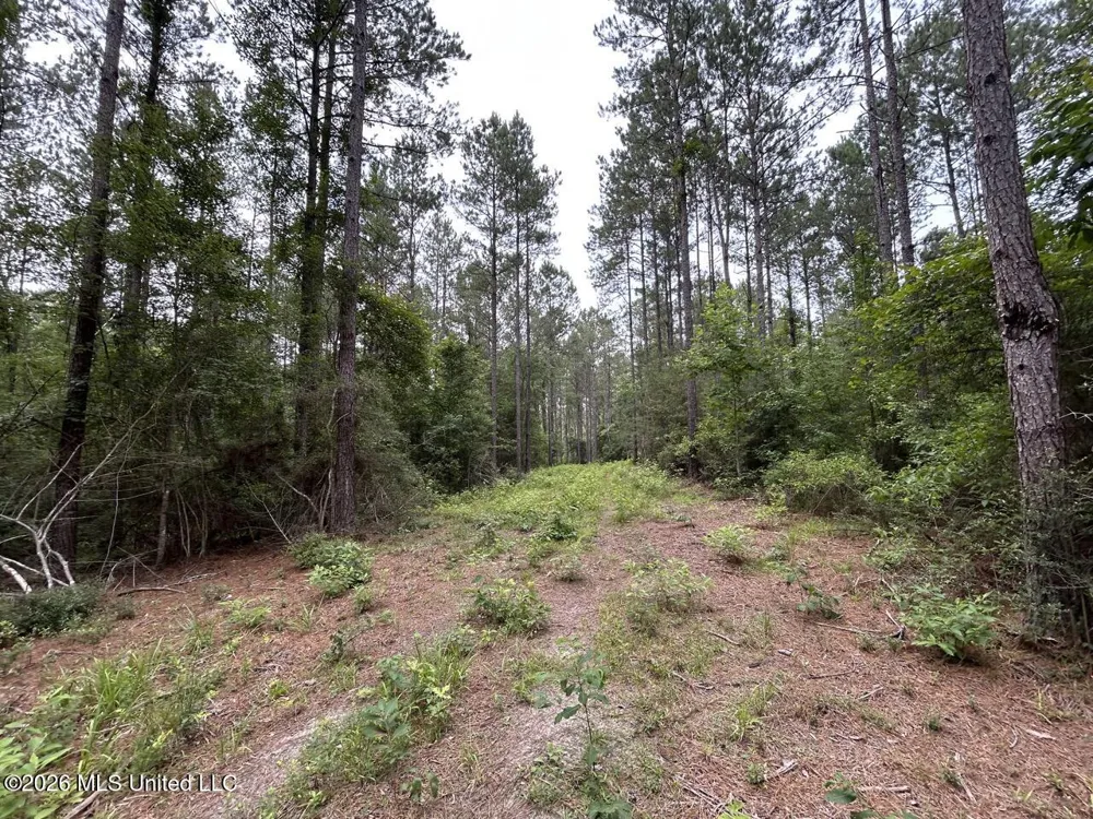 6642 Grange Hall Road Osyka, MS 39657