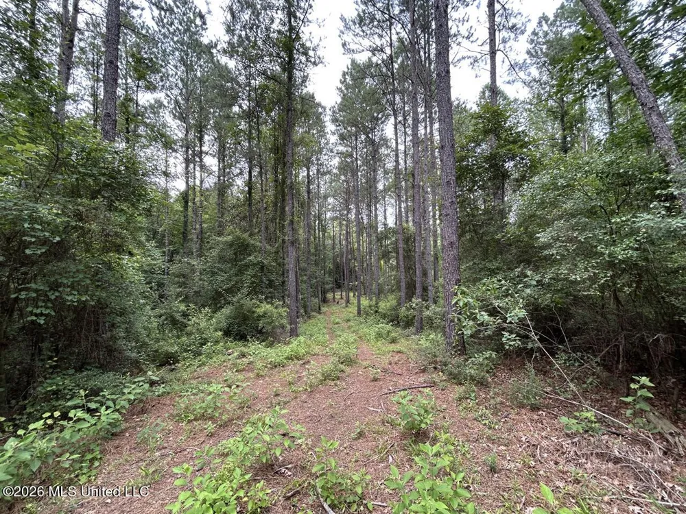6642 Grange Hall Road Osyka, MS 39657
