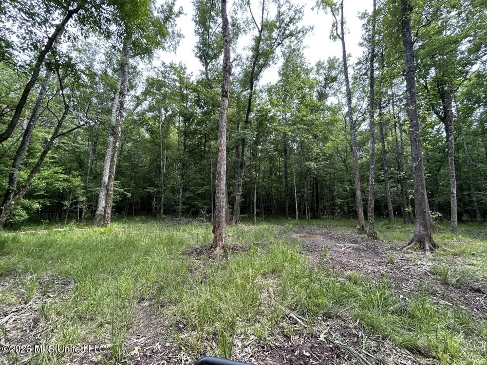 6642 Grange Hall Road Osyka, MS 39657