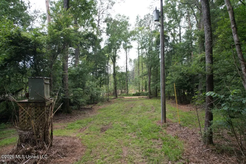 6642 Grange Hall Road Osyka, MS 39657